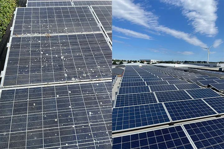 Project - Elektrische borstel - Albers Zeilmakerij - Solar Cleaning Experts - 2